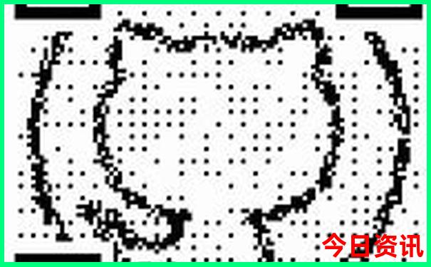瑞丽莫里瀑布景点介绍